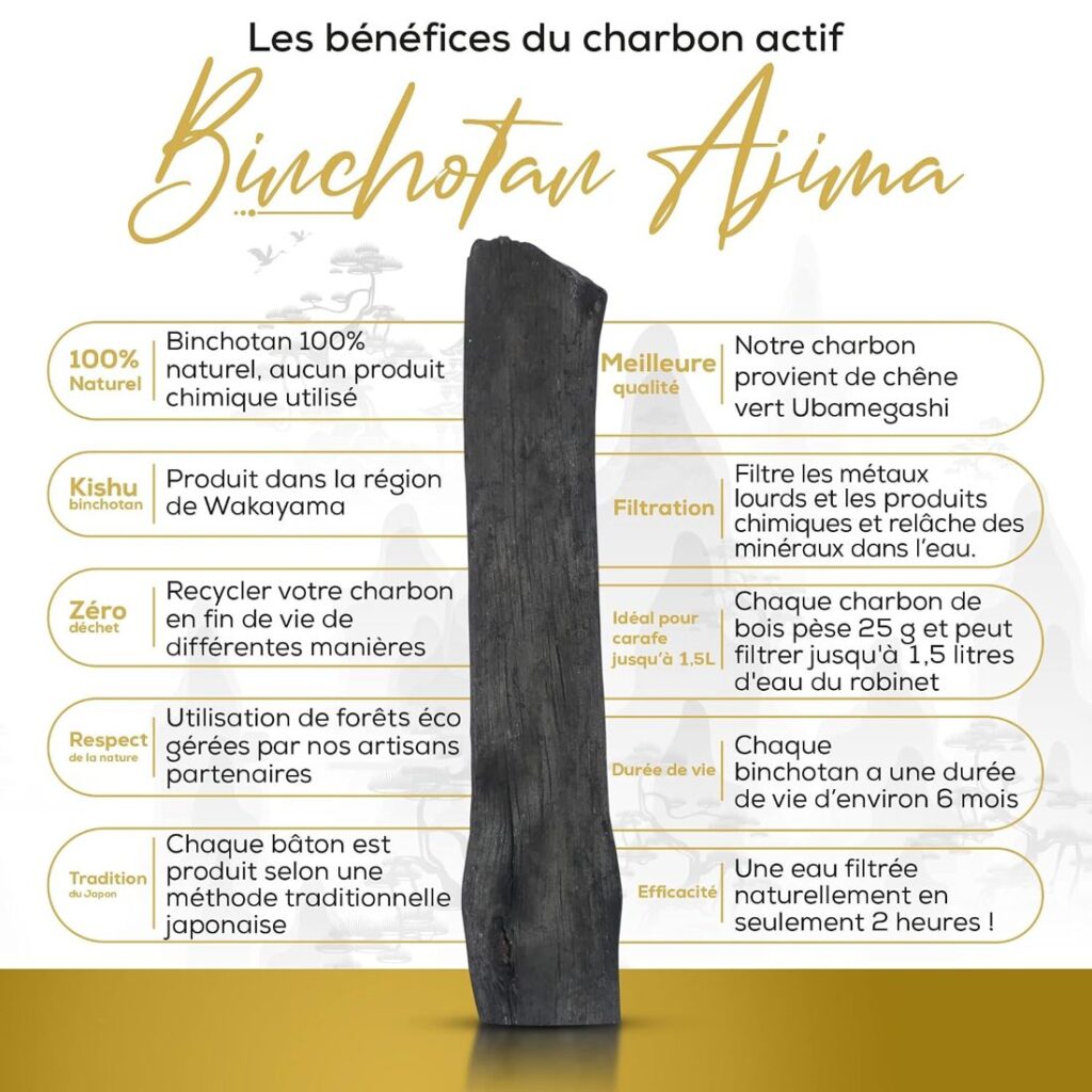 Les bénéfices du charbon actif Binchotan Ajima